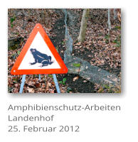 Amphibienschutz-Arbeiten Landenhof 25. Februar 2012