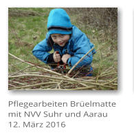 Pflegearbeiten Brelmatte mit NVV Suhr und Aarau 12. Mrz 2016