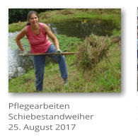 Pflegearbeiten Schiebestandweiher 25. August 2017