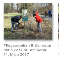 Pflegearbeiten Brelmatte mit NVV Suhr und Aarau 11. Mrz 2017