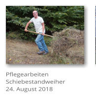 Pflegearbeiten Schiebestandweiher 24. August 2018