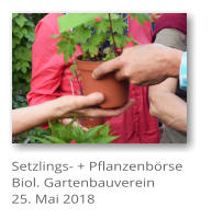 Setzlings- + Pflanzenbrse Biol. Gartenbauverein 25. Mai 2018