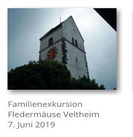 Familienexkursion Fledermuse Veltheim7. Juni 2019