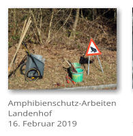 Amphibienschutz-Arbeiten Landenhof 16. Februar 2019