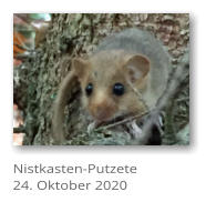Nistkasten-Putzete 24. Oktober 2020