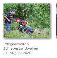 Pflegearbeiten Schiebestandweiher 21. August 2020
