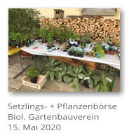 Setzlings- + Pflanzenbrse Biol. Gartenbauverein 15. Mai 2020