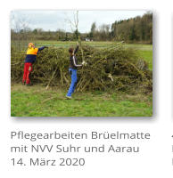 Pflegearbeiten Brelmatte mit NVV Suhr und Aarau 14. Mrz 2020