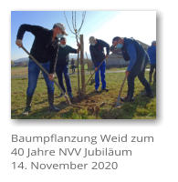 Baumpflanzung Weid zum 40 Jahre NVV Jubilum 14. November 2020