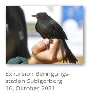 Exkursion Beringungs-station Subigerberg16. Oktober 2021
