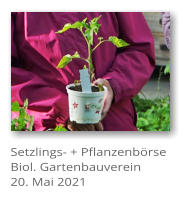 Setzlings- + Pflanzenbrse Biol. Gartenbauverein 20. Mai 2021
