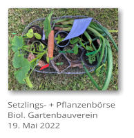 Setzlings- + Pflanzenbrse Biol. Gartenbauverein 19. Mai 2022