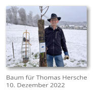 Baum fr Thomas Hersche 10. Dezember 2022