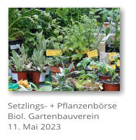 Setzlings- + Pflanzenbrse Biol. Gartenbauverein 11. Mai 2023