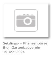 Setzlings- + Pflanzenbrse Biol. Gartenbauverein 15. Mai 2024