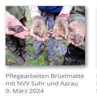 Pflegearbeiten Brelmatte mit NVV Suhr und Aarau 9. Mrz 2024