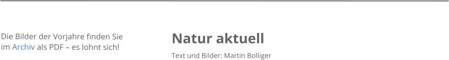 Natur aktuell Text und Bilder: Martin Bolliger    Die Bilder der Vorjahre finden Sie im Archiv als PDF  es lohnt sich!